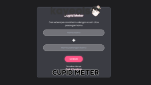 CUPID METER